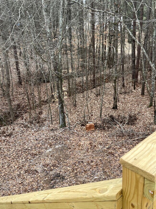 Building Photo - Split Foyer