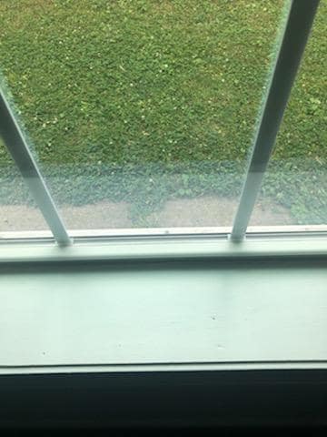 Building Photo - 3450 Graceland Ave