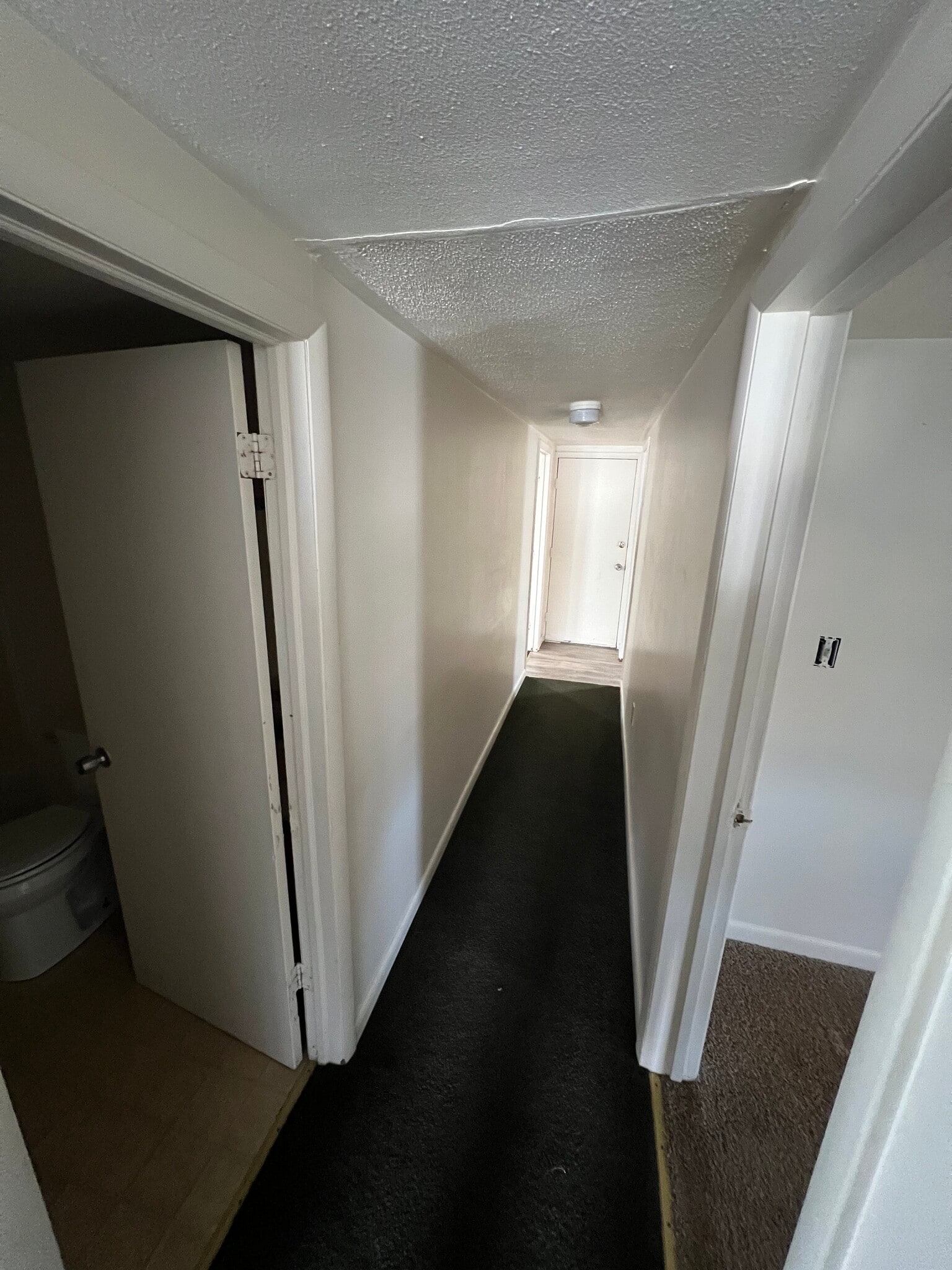 hallway - 231 High St