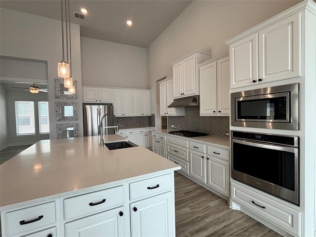 Building Photo - 19521 Tranquility Fls Cv