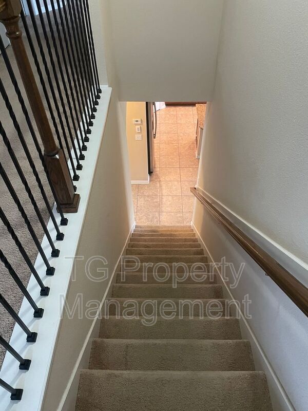 Building Photo - 247 Shetland Dr