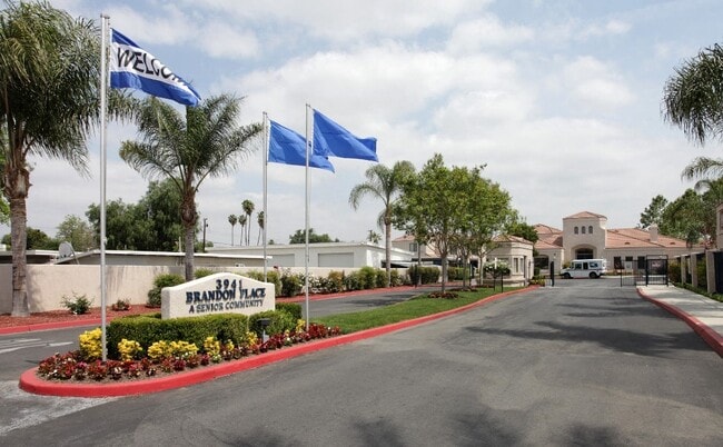 Building Photo - Brandon Place Senior