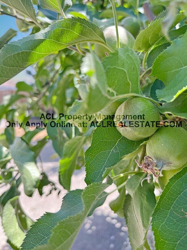 Building Photo - Spacious, 4 bed/ 3 bath Pittburg Home For ...