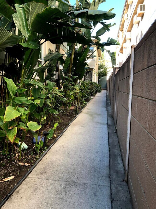 Building Photo - 1 Bed + 1 Bath Second Floor Unit!