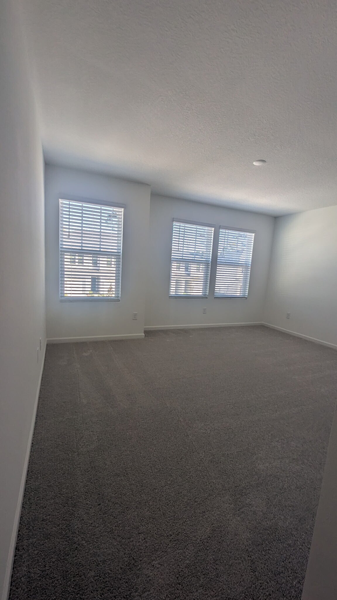 Building Photo - 550 Holly Lakes Dr