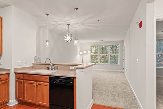 Building Photo - 75 Maple St