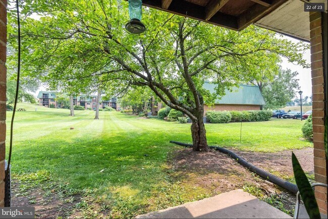 Yard - 1607 Meadowview Ln