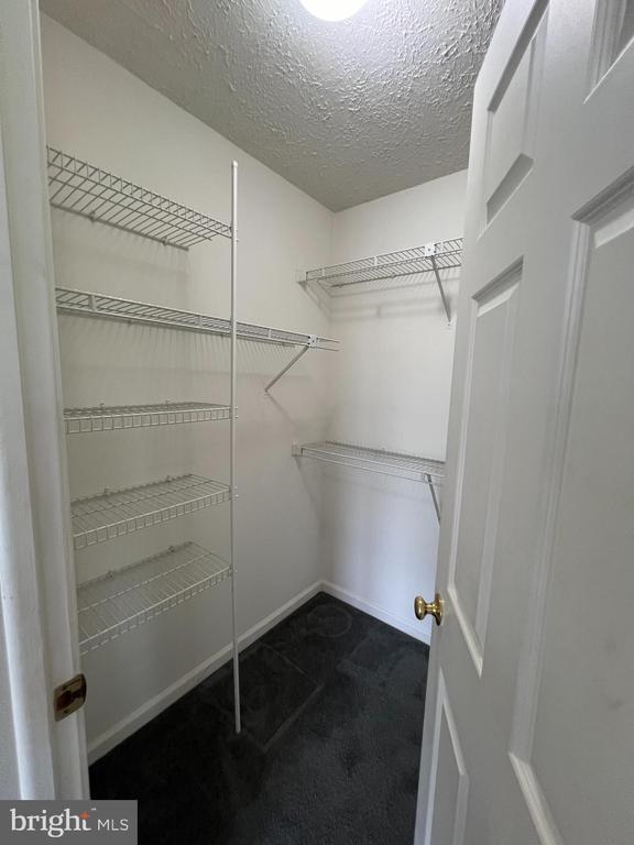 Building Photo - 5660 Wade Ct