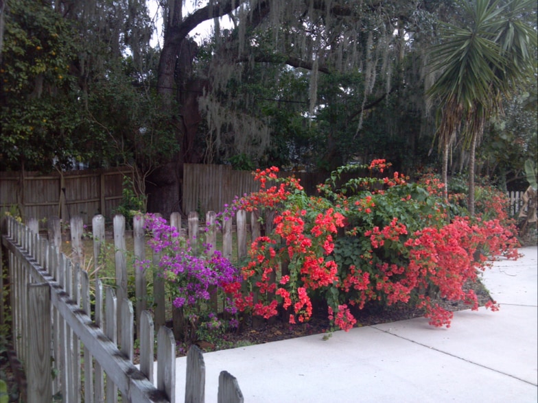 Building Photo - 117 Hill Ave