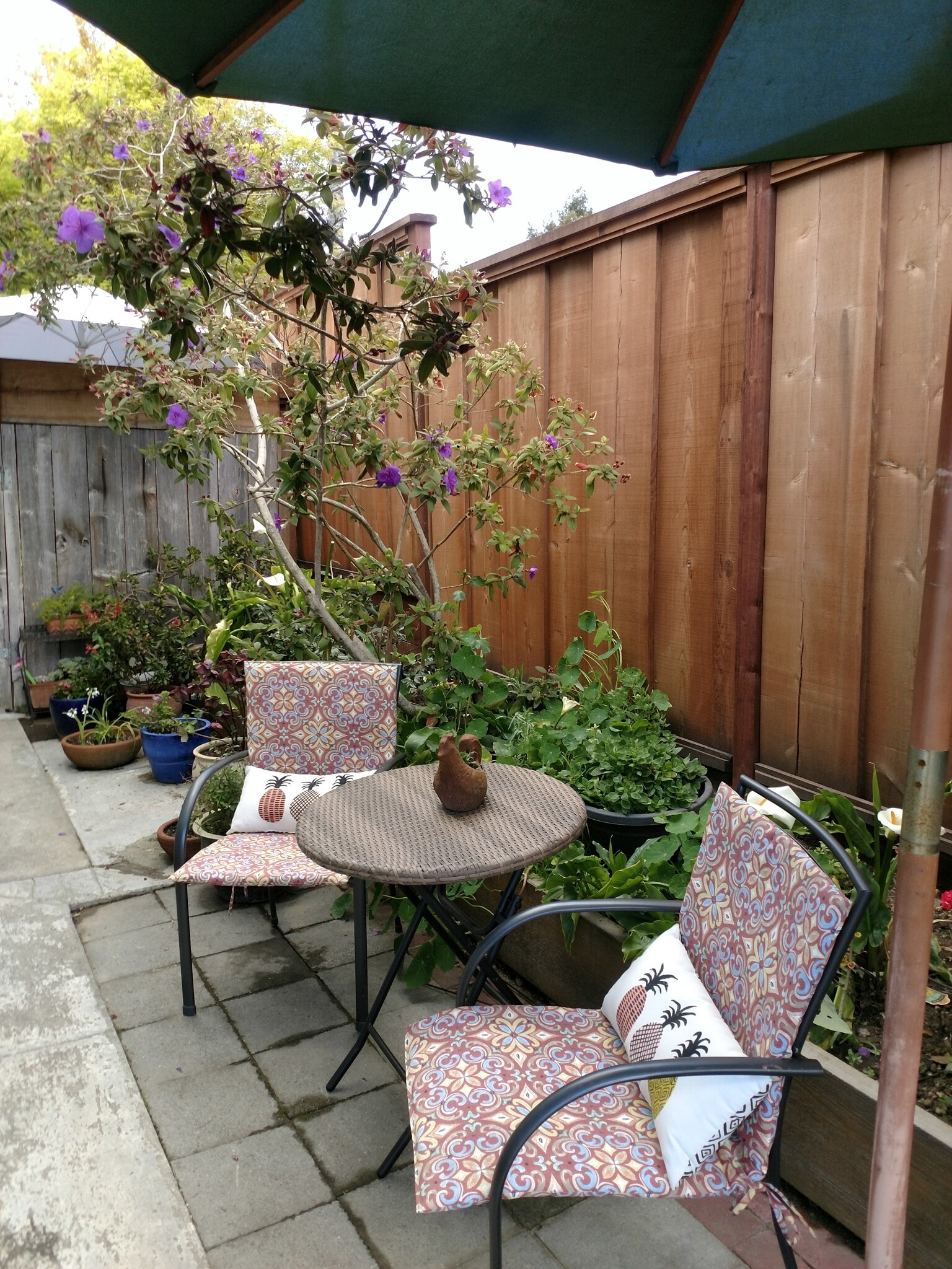 Building Photo - 196 Alturas Way