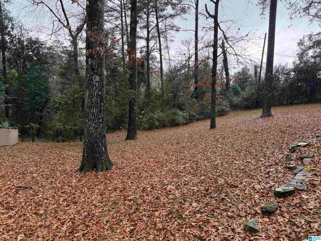 Building Photo - 3153 Woodhaven Dr