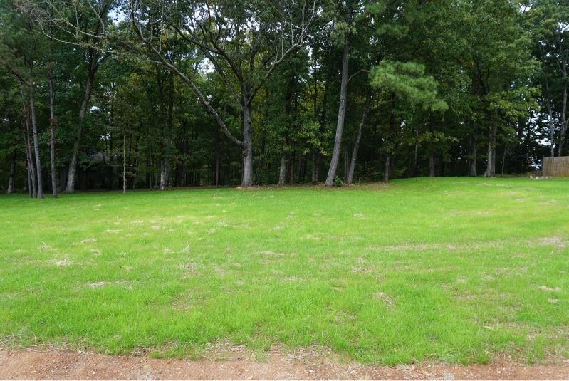 Building Photo - 583 Orvil Smith Rd