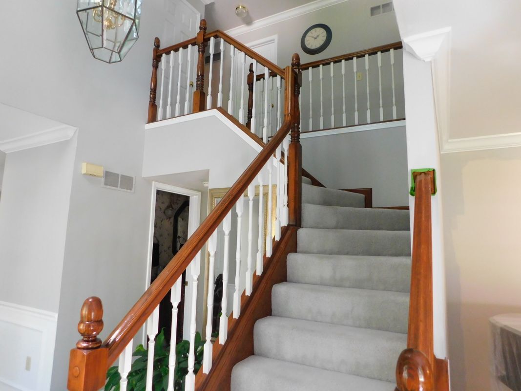Building Photo - 2833 Hilly Haven Ct