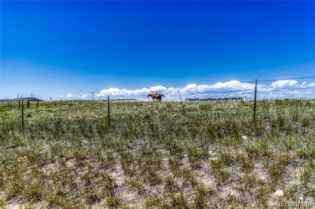 Building Photo - 10732 Worthington Cir