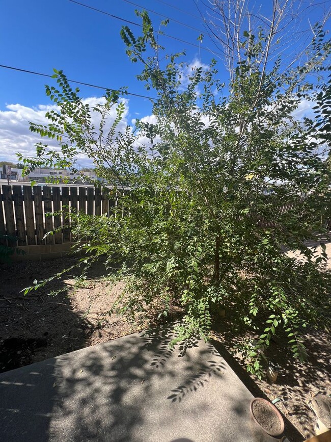 Building Photo - 1213 Dickerson Dr SE