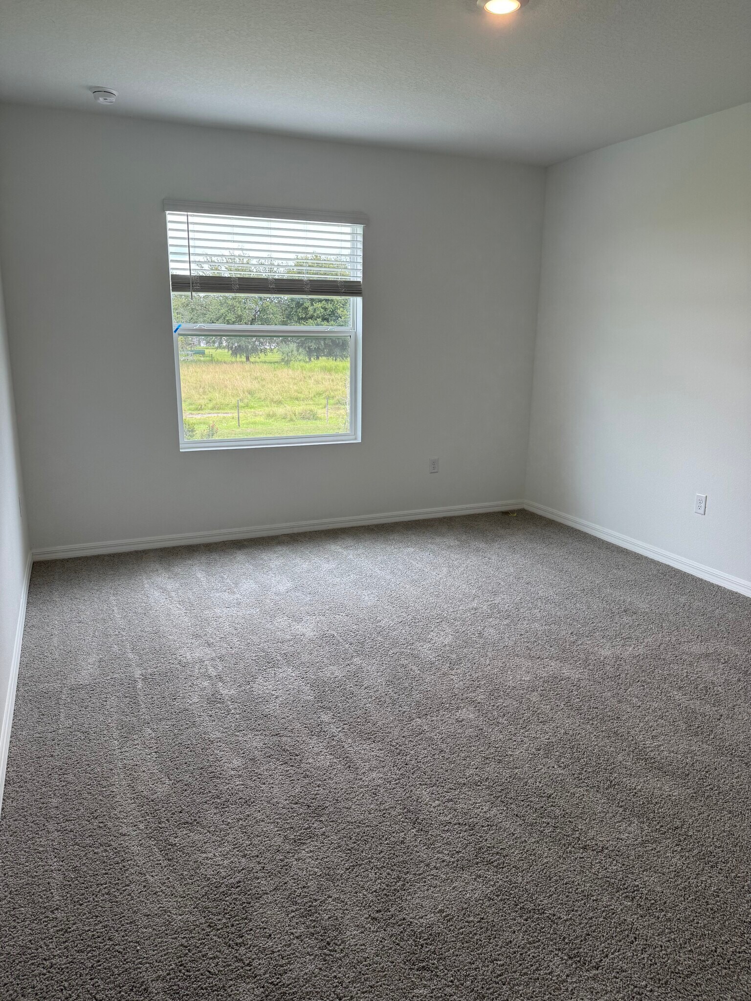 Building Photo - 3508 Marigold Patch Ct
