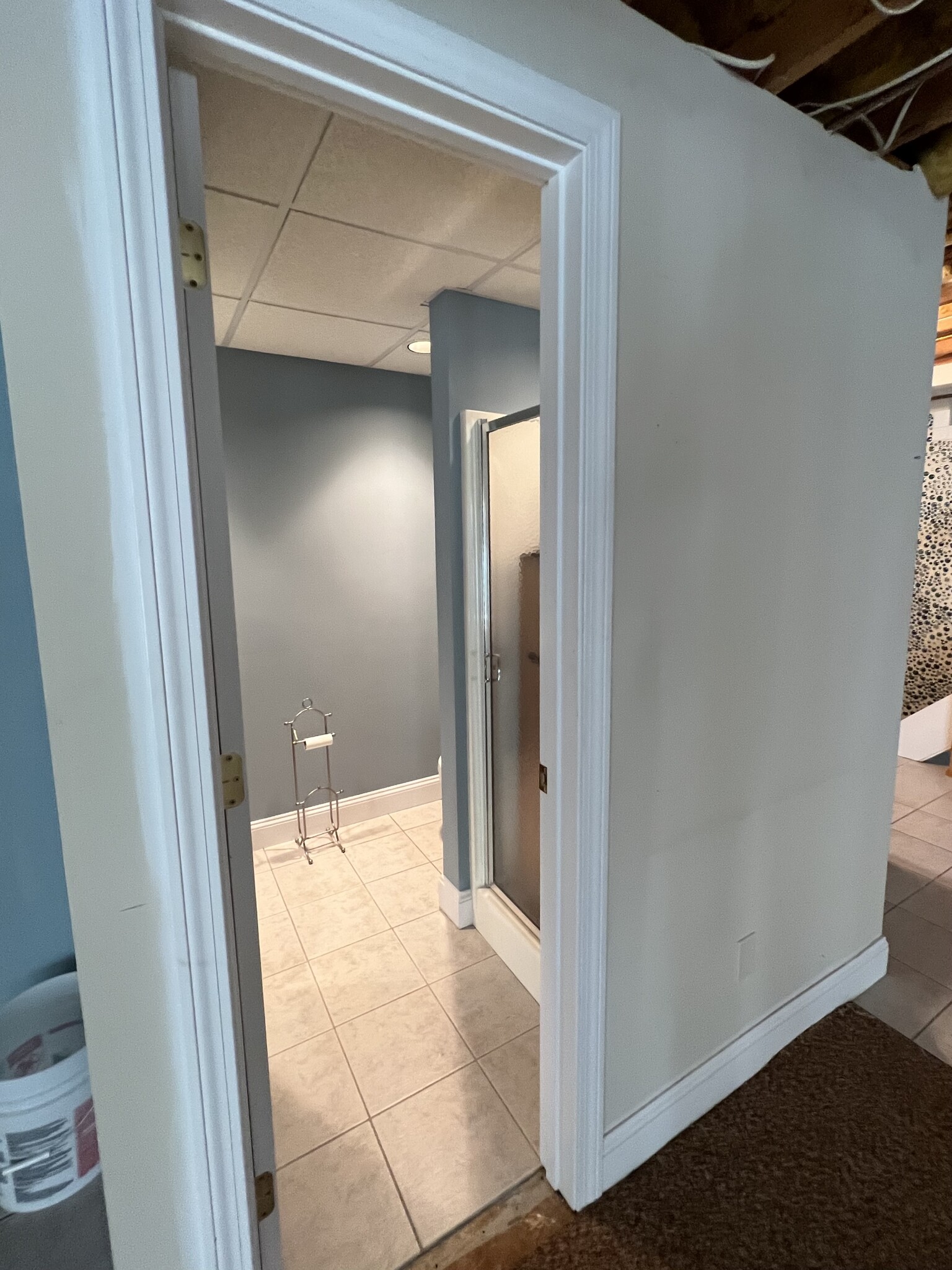 basement bathroom - 345 Sorghum Mill Dr