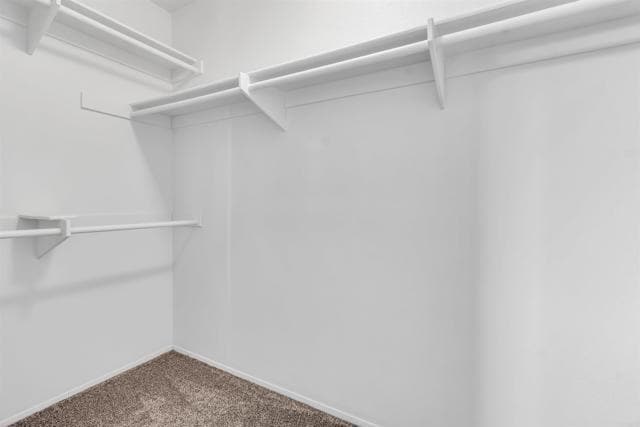 Building Photo - 861 Caminito Estrella