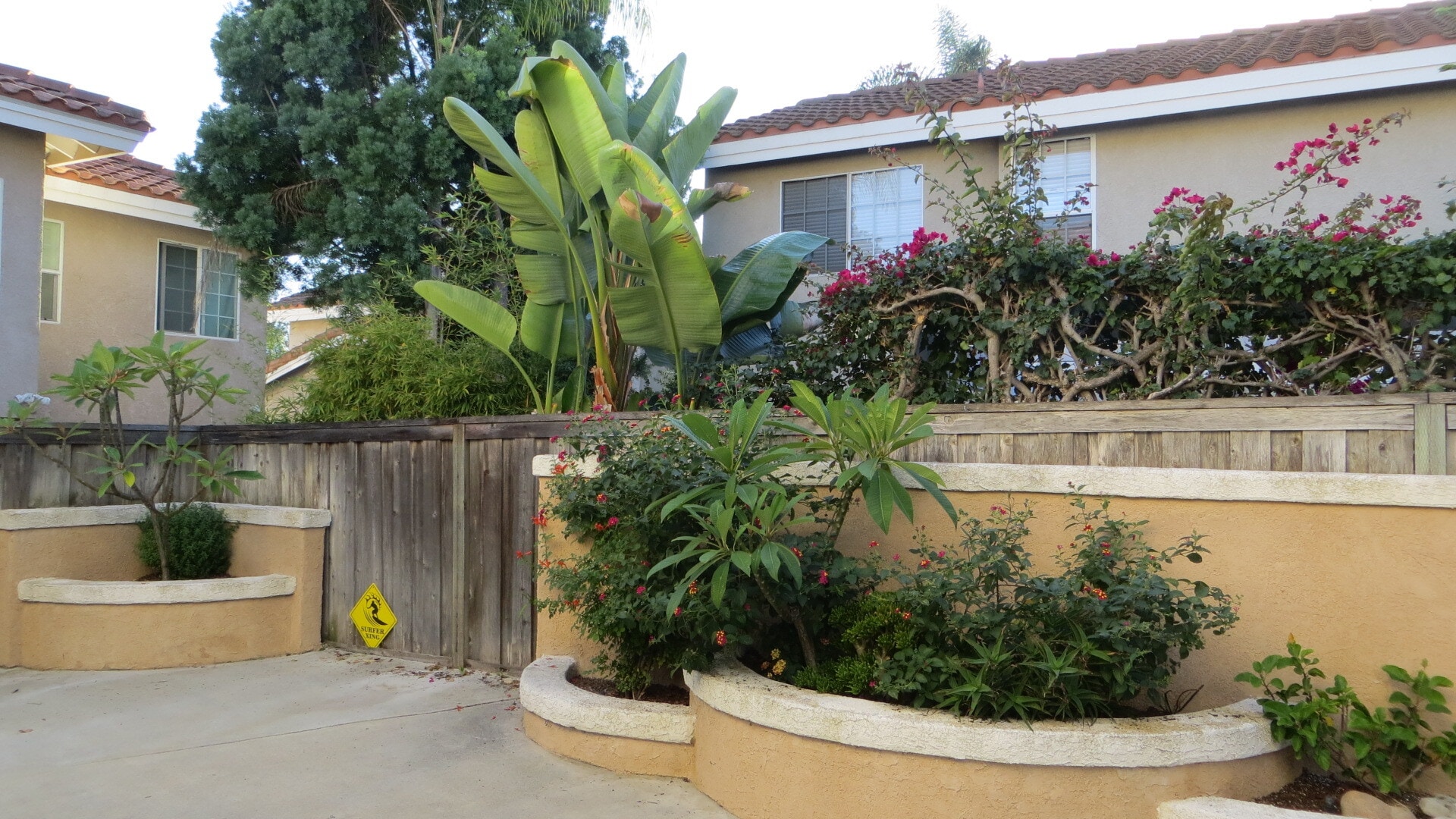 Backyard area - 30061 Whitecap