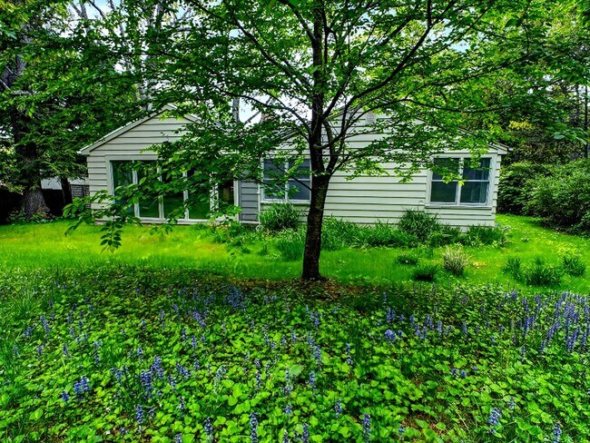 Building Photo - 1 Month Free | Luxury 3BR Home in Prospect Hill