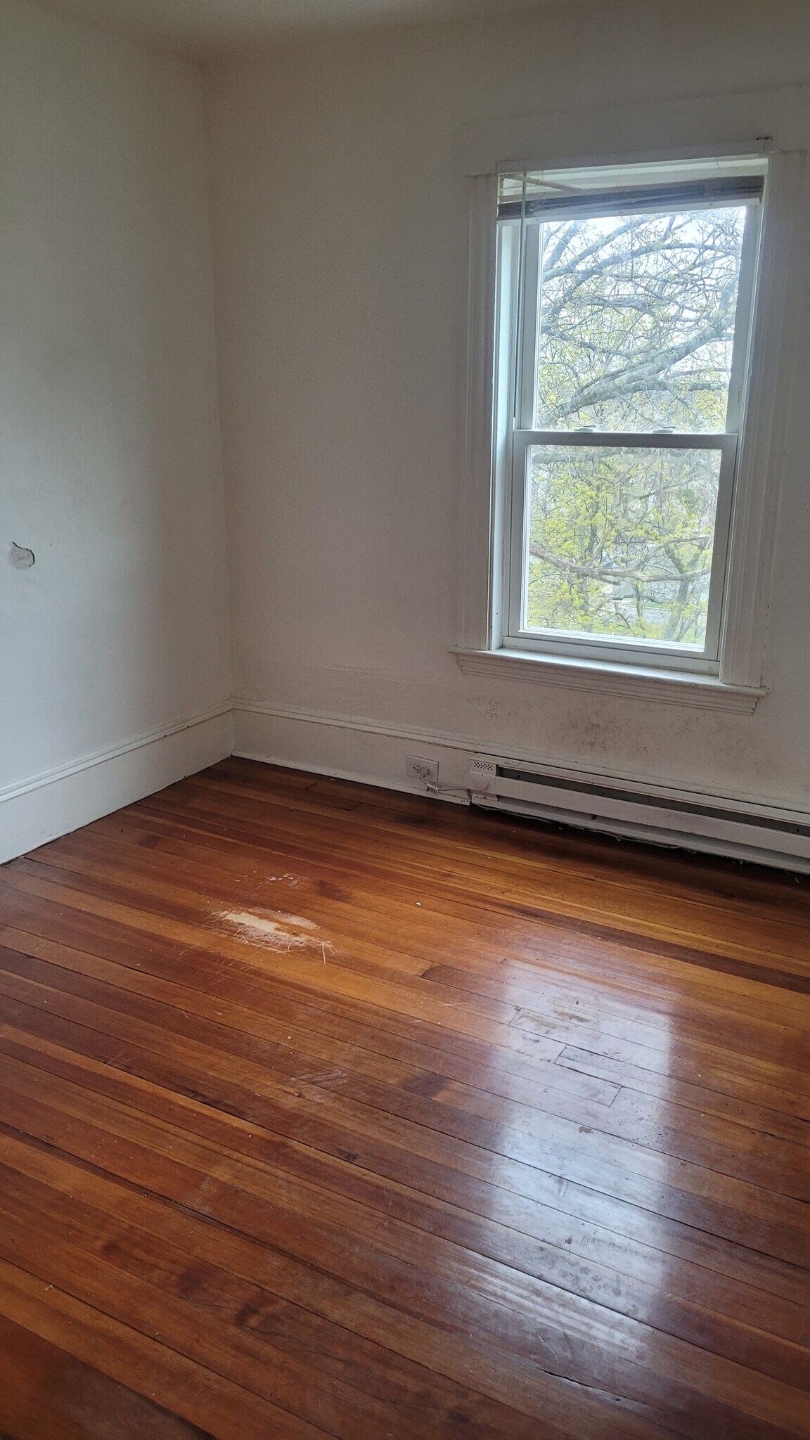 Building Photo - 23 Desmond Rd