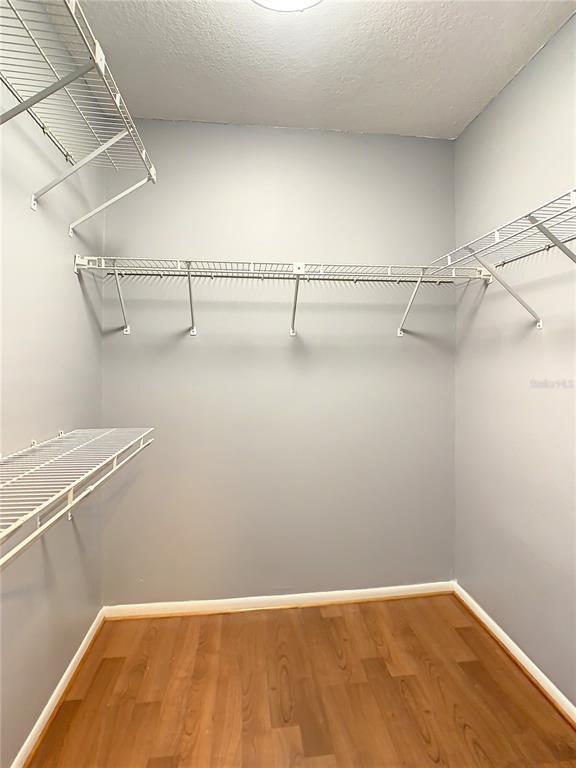 Building Photo - 2333 Feather Sound Dr