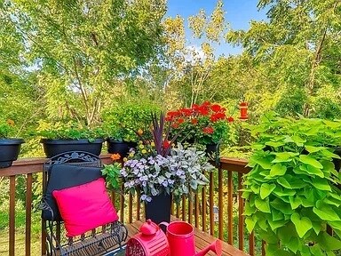 Building Photo - 8 Grandview Ct