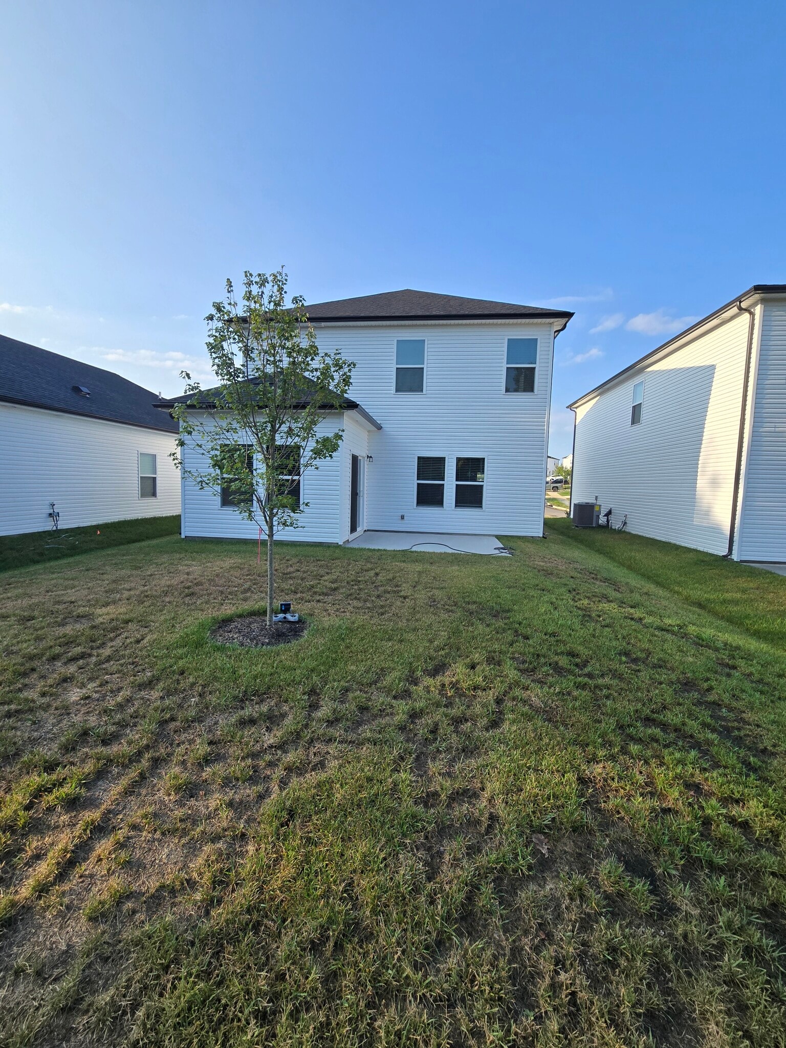 Rear yard - 3901 Northbrook Dr