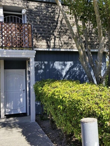 Building Photo - 1459 N Camino Alto