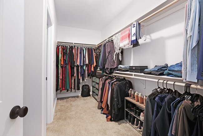 Building Photo - 2429 Bald Cypress Dr