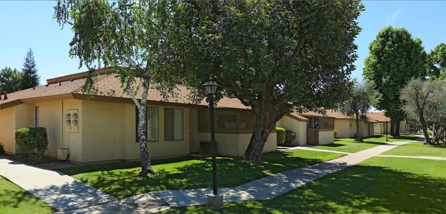 Primary Photo - Belle Terrace