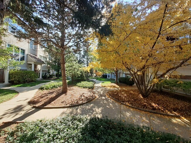 Building Photo - 11 E Illinois Ave