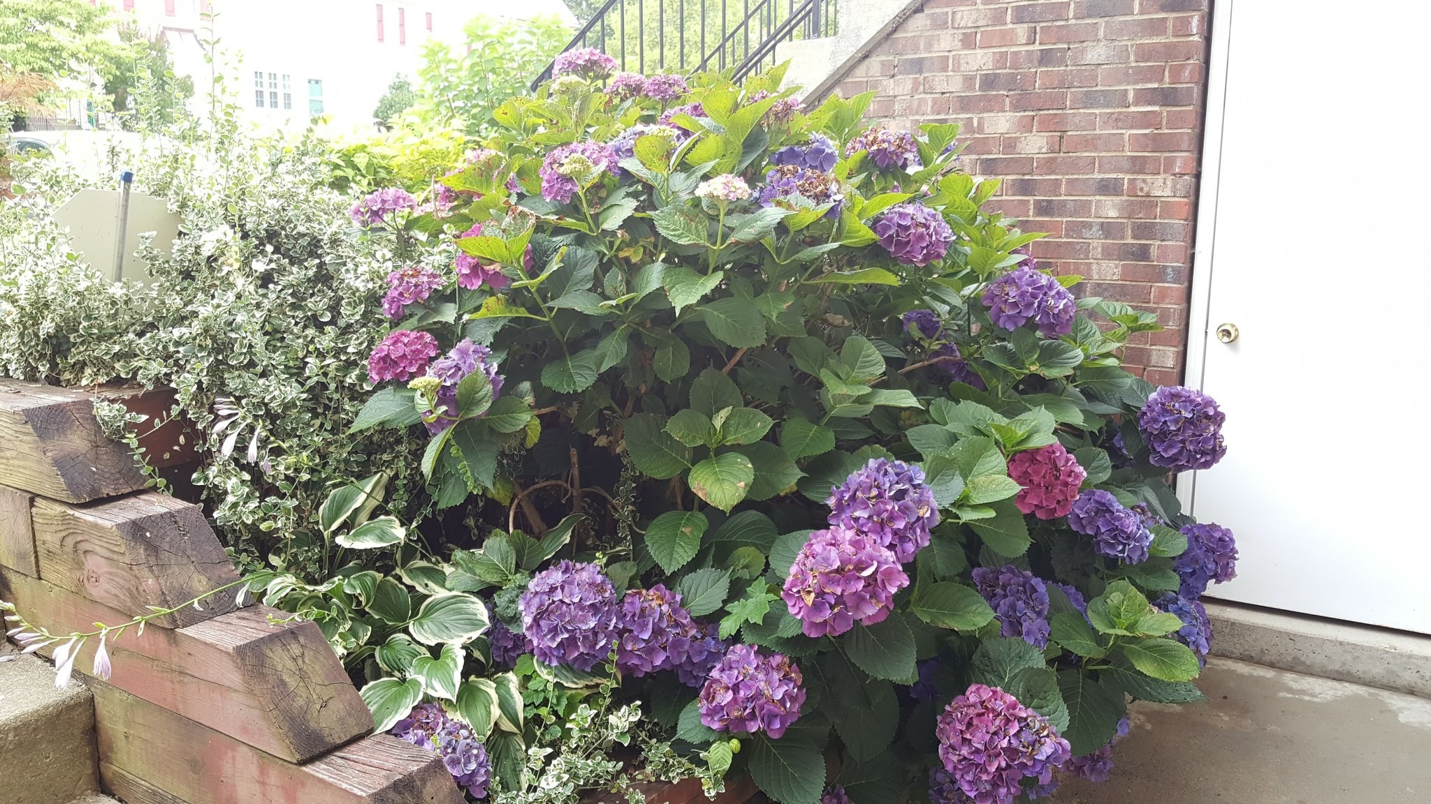 front - 1009 Simsbury Ct