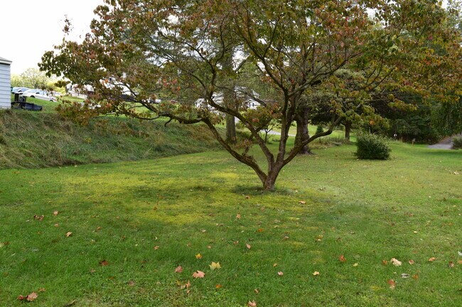 Building Photo - 999 Sunnyside Rd