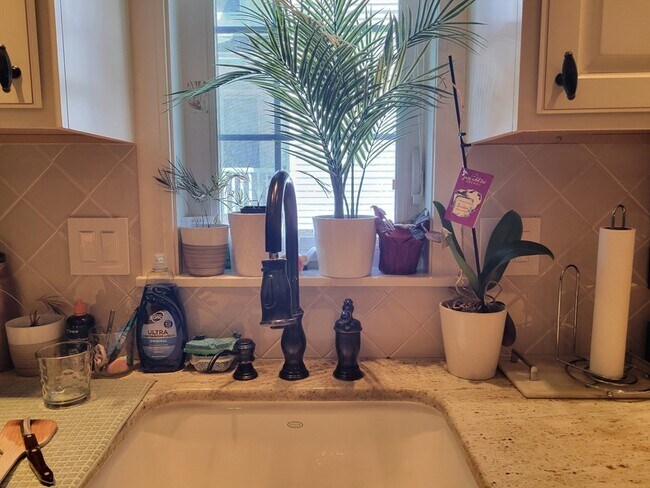 Building Photo - 20 Symonds St