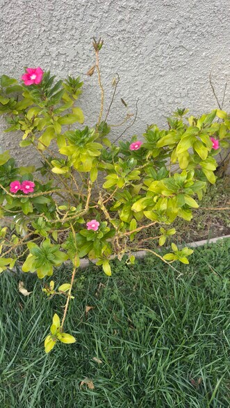 Building Photo - 27905 Crown Court Cir