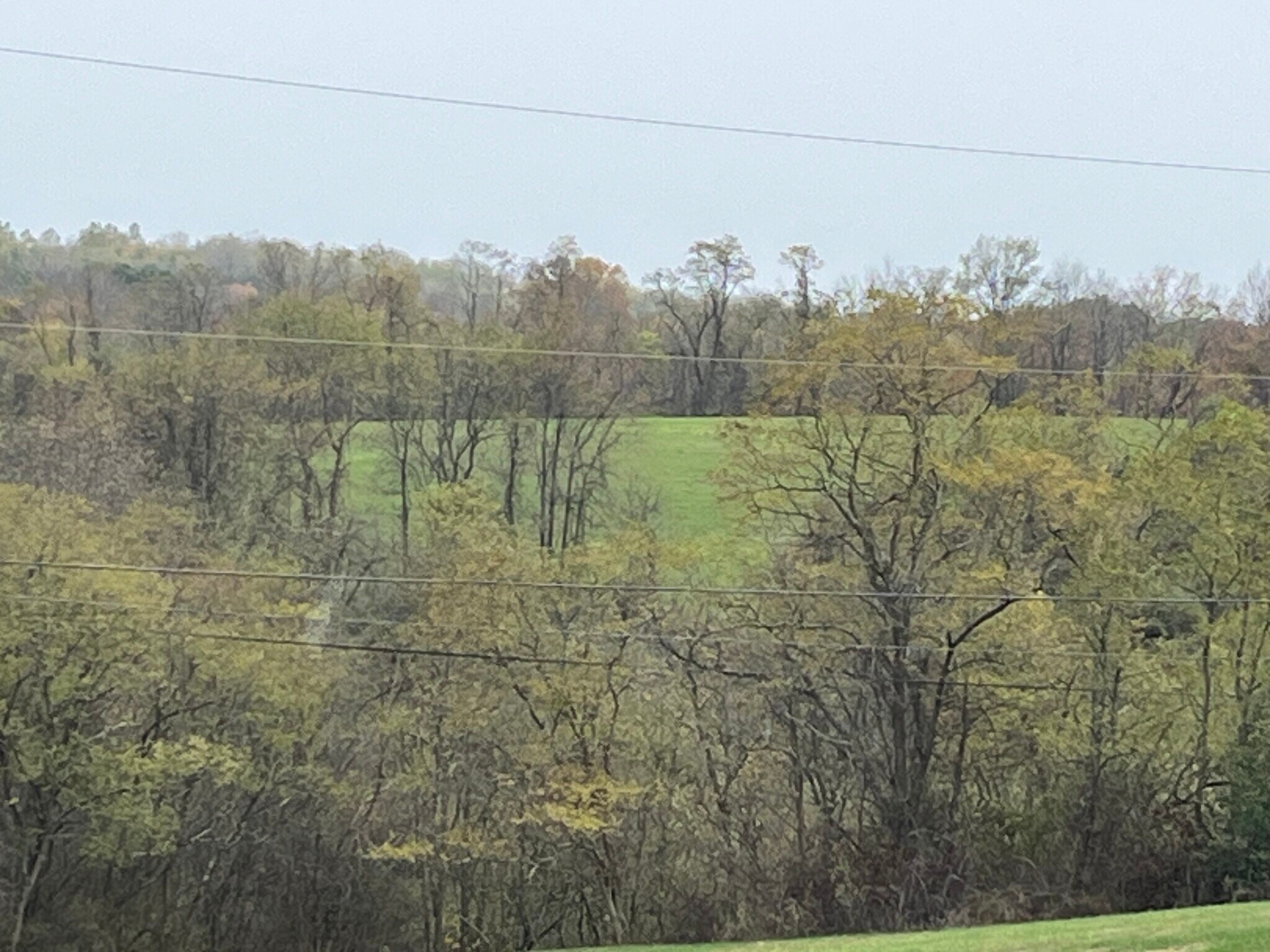 Back view from apartment - 3356 County Road 22A