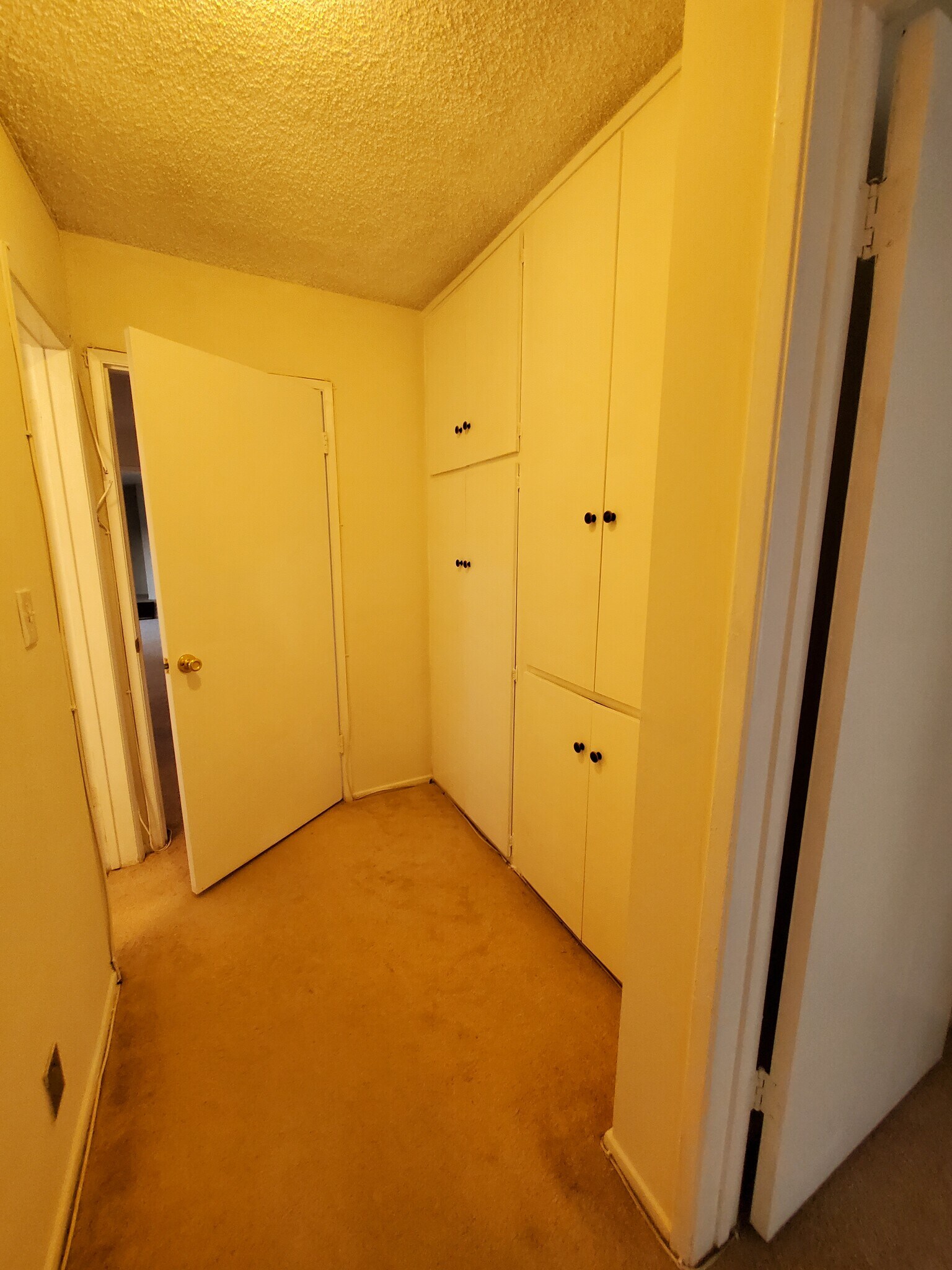 Hallway with Linen closets - 6199 Canterbury Dr