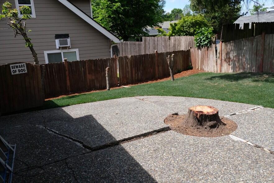 backyard - 6114 S 126th Pl