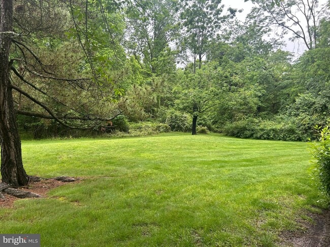 Building Photo - 31 Abelia Ct