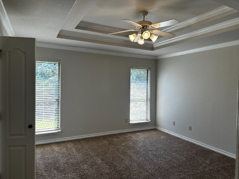 Building Photo - 3120 Lippizan St