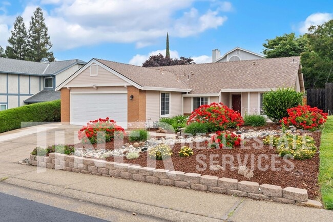 Building Photo - 3421 Cobblestone Dr