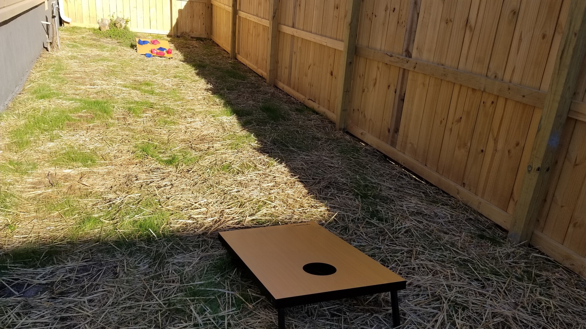 Backyard - 2 Bigby St