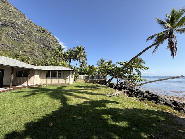 Primary Photo - 49-803-803 Kamehameha Hwy