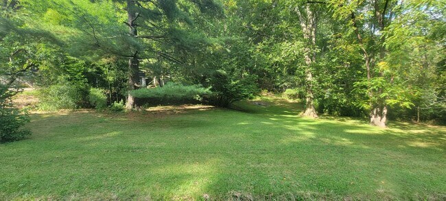 Building Photo - 4 bedrooms 3 baths beautiful house