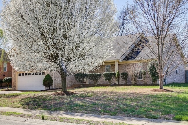 Building Photo - 1031 Margaret Dr
