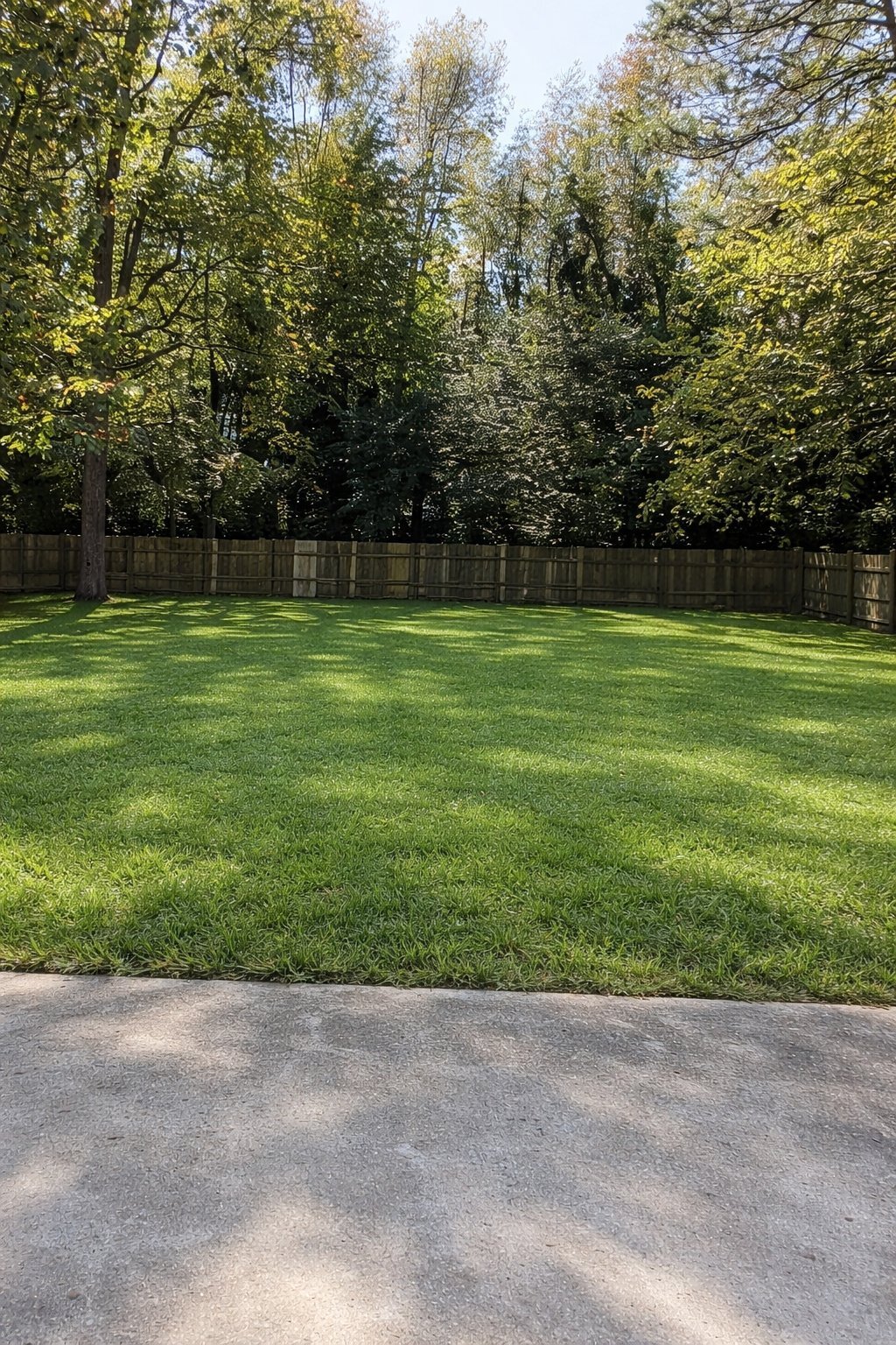 Building Photo - 4625 Camellia Dr