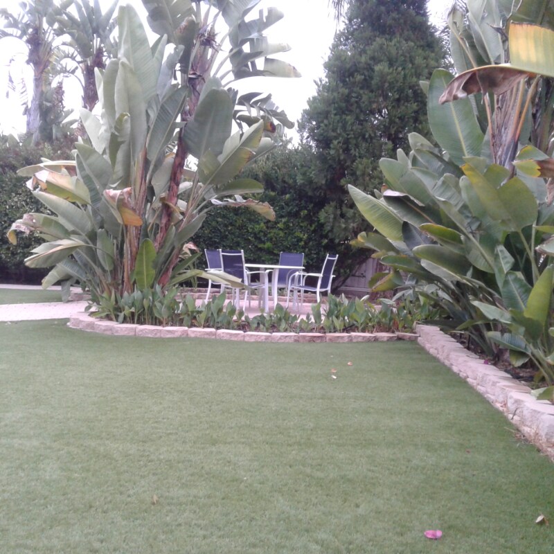 Building Photo - 2696 Magellan Ln