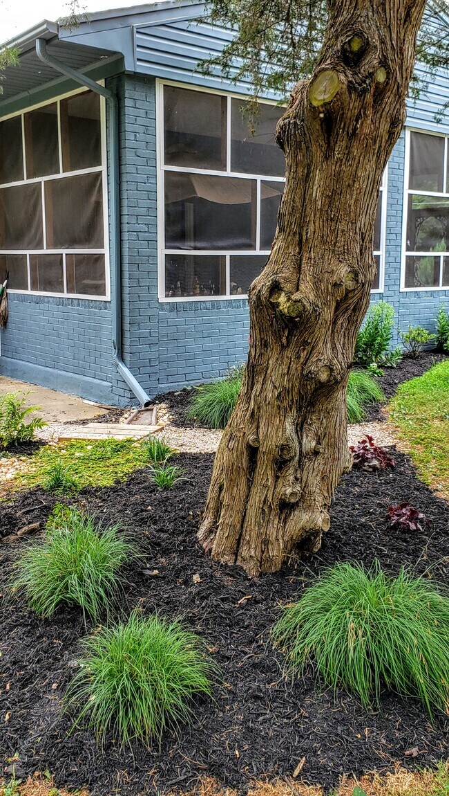 Building Photo - 2925 Center St