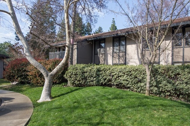 Building Photo - https://www.rutherfordliving.com/apartments/ca/walnut-creek/marquee/